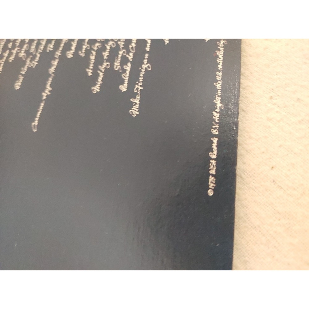Rod Stewart Blondes Have More Fun 1978 Vintage Vinyl Record LP - Picture 6 of 8
